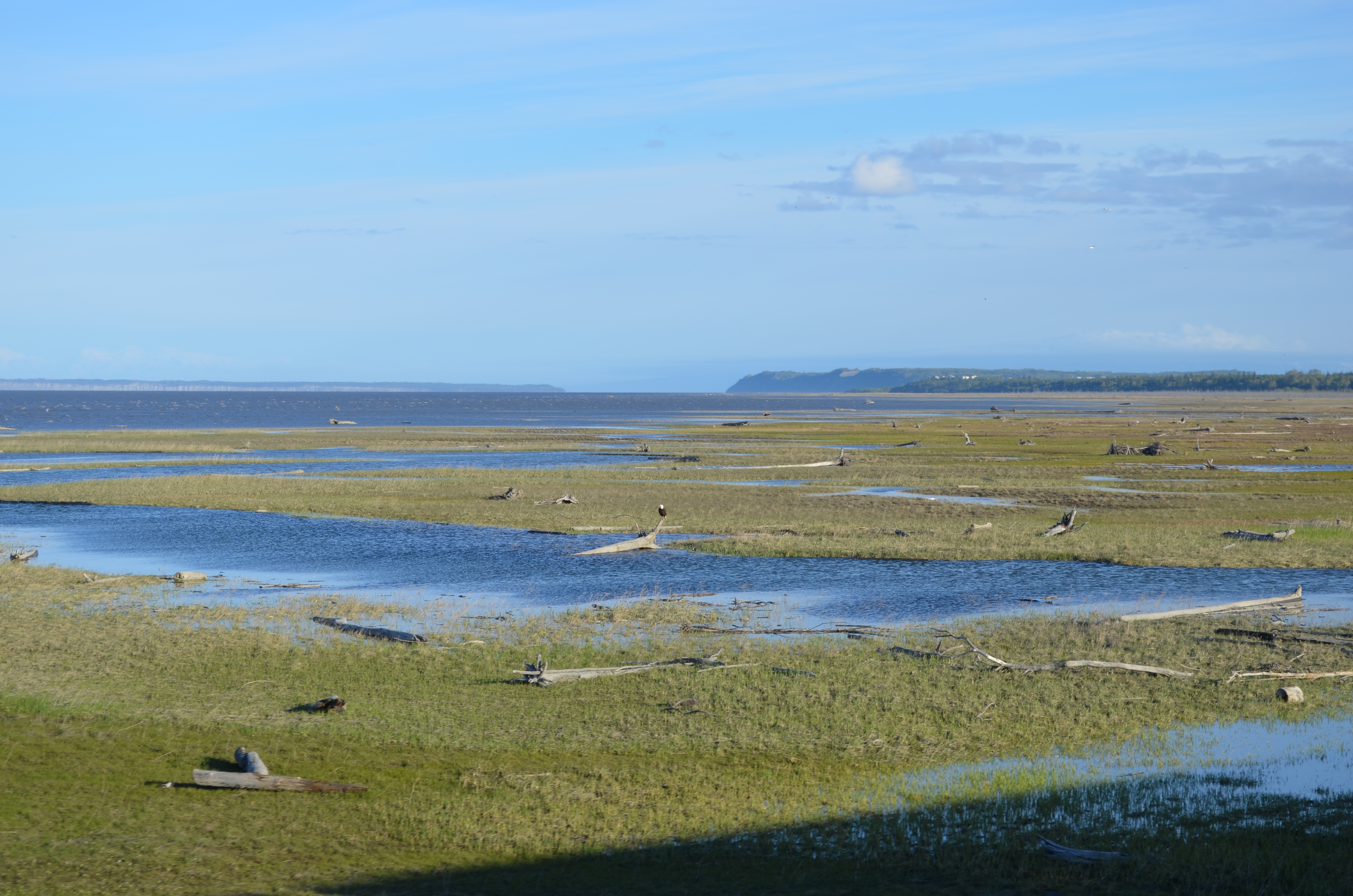 ./2017/08 - Alaska Cruise/05 - Train to Seward/DSC_0376.JPG